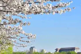 北京玉渊潭公园2元门票被炒到50元 园方：已报案视频封面