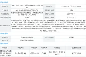 总投资5.7亿！鹤壁“中国‘镁谷’轻量化高端制造产业园”获发改委备案图片