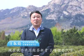 一杯茶汤 十里飘香！巨峰镇党委书记为日照绿茶代言，邀您品茶会客图片