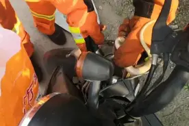 惊魂！蛇出没！新乡一女士骑摩托外出，车把上竟然盘着一条蛇图片