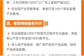 “春雷”再响助中小企突围 阿里要造十个过百亿数字化产业带图片