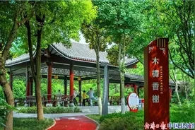 江苏滨海：精细化管理持续提升城市颜值图片