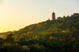 楼市收官之年，照母山买房有什么好选择？图片