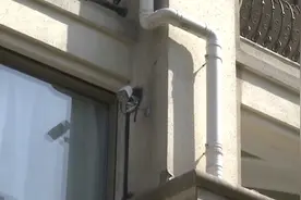 女子投诉邻居私装摄像遭反驳：你养狗从不牵绳图片