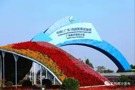 重磅！今年前两月，南沙再拿全市两项第一图片