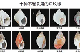一颗就可能致命！这种有毒“海鲜”流向市场……千万要小心图片