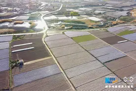 「“飞阅”中国」航拍甘肃张掖乡村景色 阡陌纵横披“春装”图片