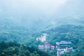 主城最早的杜鹃花海已绽放，人少且免费图片