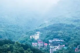 主城最早的杜鹃花海已绽放，人少且免费图片