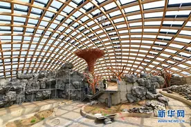 太原植物园建设有序推进图片