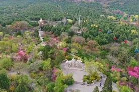 春光明媚 桃花烂漫——千佛山桃花园近万株桃花竞相开放图片