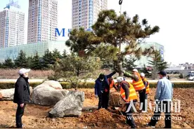 今年烟台将重点推进银海路、红旗路等路段绿地优化改造图片