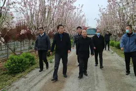 章丘人大助力都市农业走进春天里图片