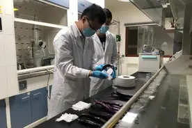 茄子经水泡后掉色？市场监管部门：正常现象 不影响食用图片