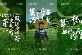爱心助学 为茶农直播带货 湖南永通华美奔驰开启公益之旅图片