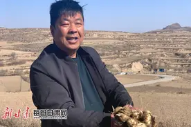 永靖县“大产业+小产业”让群众收入稳增长图片