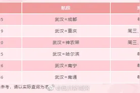 4月8日起 川航有序恢复武汉至成都、重庆等航线图片