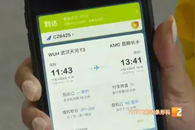 首批上百名武汉旅客乘坐高铁和飞机抵昆！武汉至昆明4趟高铁票已售罄、往返航班一周将超10班图片