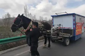 玩命做直播！网络主播竟拉着马车上了西互一级公路图片