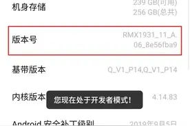 手机设置的禁区！神秘的开发者选项你弄懂了吗图片