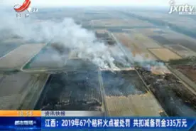 江西：2019年67个秸秆火点被处罚 共扣减备罚金335万元视频封面