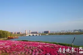花红柳绿纸鸢飞，华山清明时节美如画图片