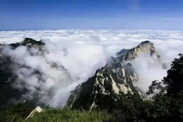 你可知华山之奇，奇在何处？