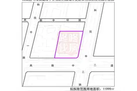 时隔多年，鸿威朱古石片区二期新进展：实施主体确认图片