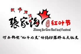 鹤壁小伙儿宋亚堃为张家沟、王家辿设计Logo图片