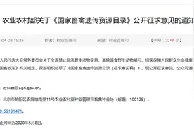 农业农村部初定31种可食用家禽家畜，不包括狗图片