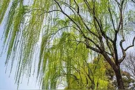 机遇是自己给的图片