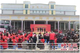 2020中国百泉药交会在新乡辉县盛大开幕图片