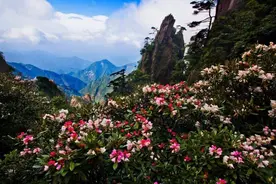 三清山逍遥谷+高空玻璃桥全部免费玩！不限量门票免费送！图片