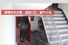 5岁女娃叉腰三连问喝退小偷！虽然孩子霸气得可爱，但大人可长点心吧图片