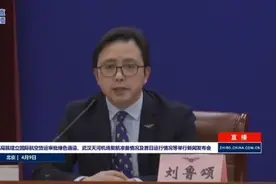 民航局：回国机票上涨正常！但这种行为不可取图片