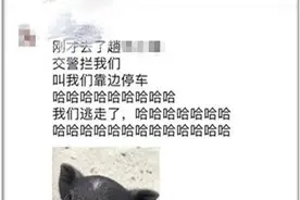 夫妻违停后逃离还连用29个“哈”发微信炫耀，已被交警处罚图片