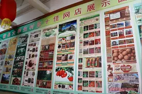 西部互联网经济上升空间巨大视频封面