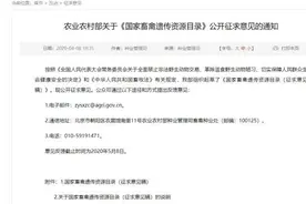 农业农村部发布名单，狗肉或将禁食图片
