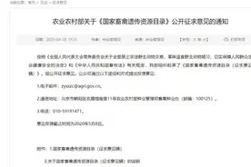 这些动物或将被禁止食用！图片