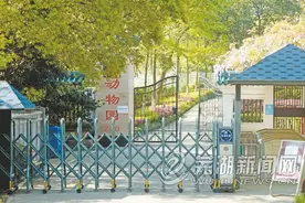想去动物园 还要再等等图片