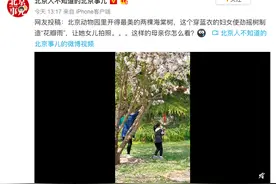 游客摇树拍“花瓣雨”，北京动物园：强烈谴责并加强巡视图片