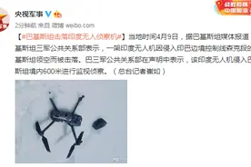 外媒：巴基斯坦击落印度无人侦察机图片