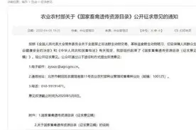 农业农村部建议狗为伴侣动物拟禁食 我国近5千家相关企业或将失去市场？图片