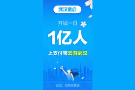 超300万商家网上赶大集卖出6个亿 武汉商家接力搬街进支付宝图片
