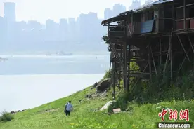 重庆：长江边的原生态吊脚楼图片
