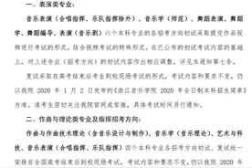 快讯！浙江音乐学院2020年校考通知出炉！大部分专业初试提交视频图片