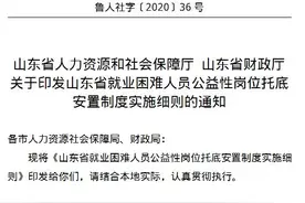 山东建立就业困难人员公益性岗位托底安置制度 实施细则发布图片