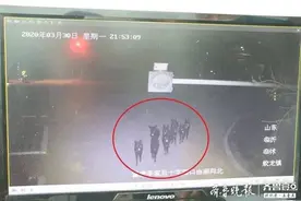 31头毛驴国道上炸群16头失踪，民警用了四天时间全部找回图片