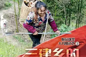 丰都雷笋节节高，生活日日新！图片