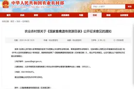 吃狗肉将成为历史？农业农村部：狗已特化为伴侣动物，不宜列入畜禽图片